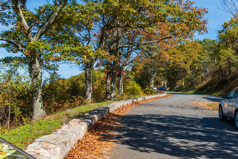 66 Shenandoah National Park :: Shenandoah National Park